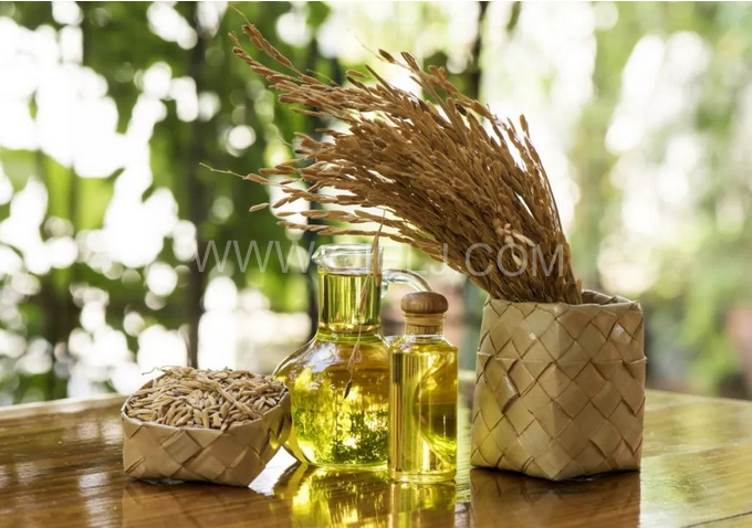 米糠油精煉設備，企鵝機械不斷創(chuàng)新提升工藝效果(圖1)